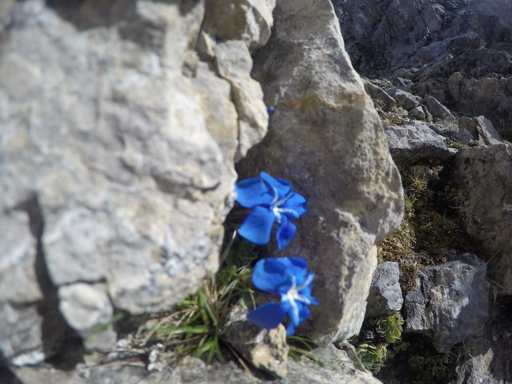 Am Rain 3* Neustift im Stubaital